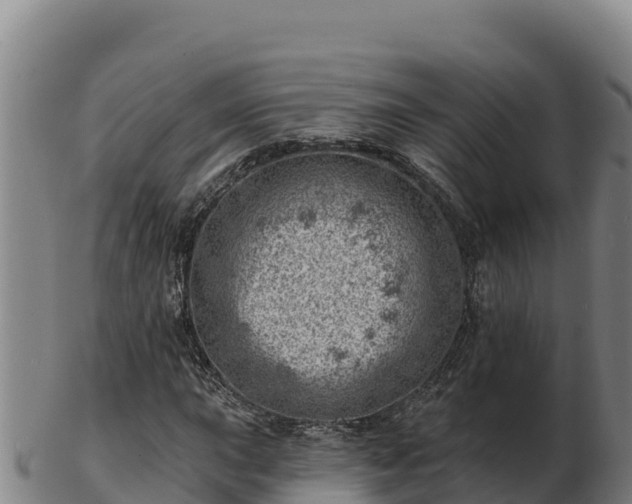 X0000103241015200809041042