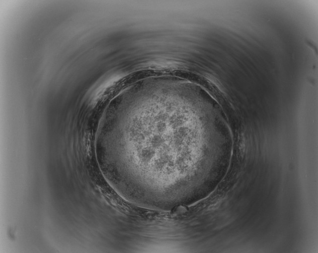 X0000103241016200809041042