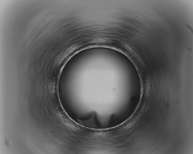 X0000103241017200809041042