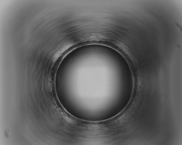 X0000103241018200809041042