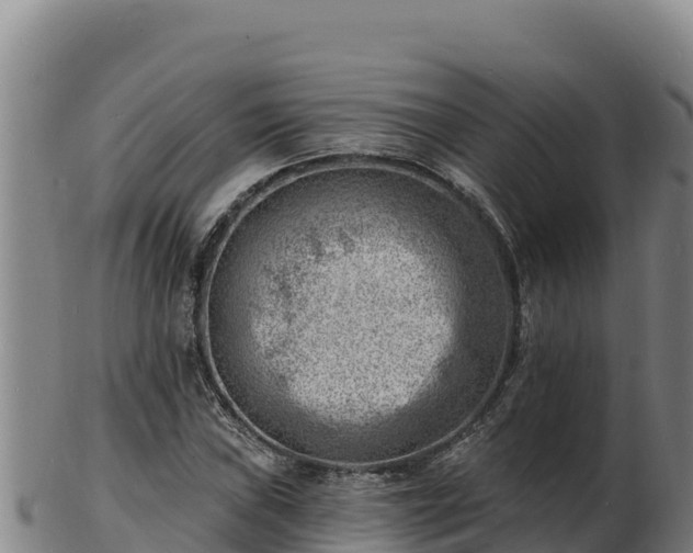 X0000103241019200809041042