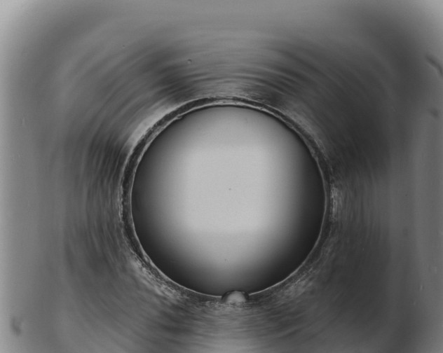 X0000103241020200809041042