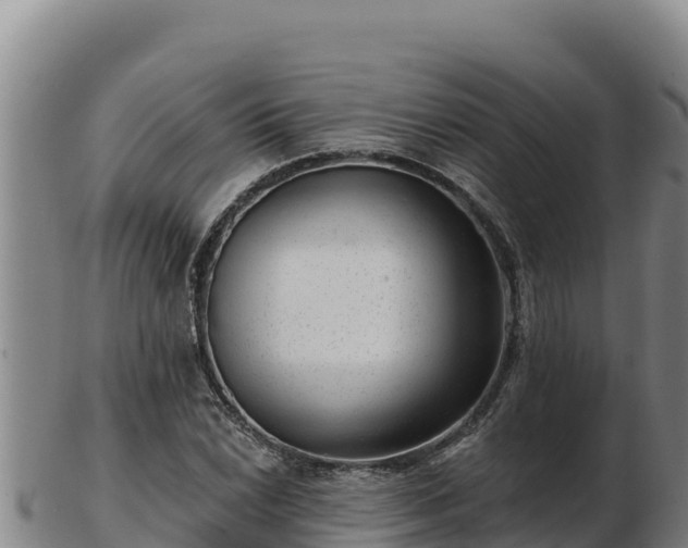 X0000103241022200809041042