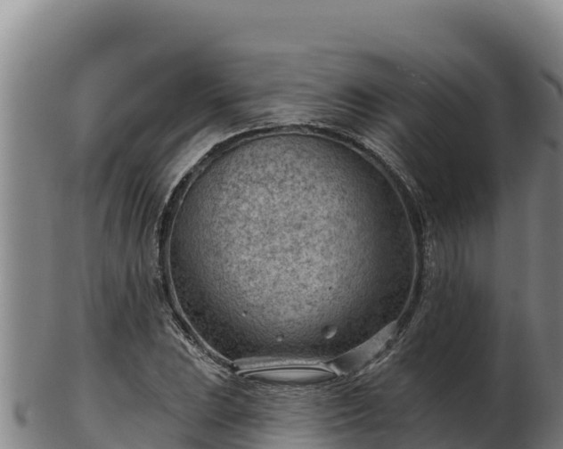 X0000103241023200809041042