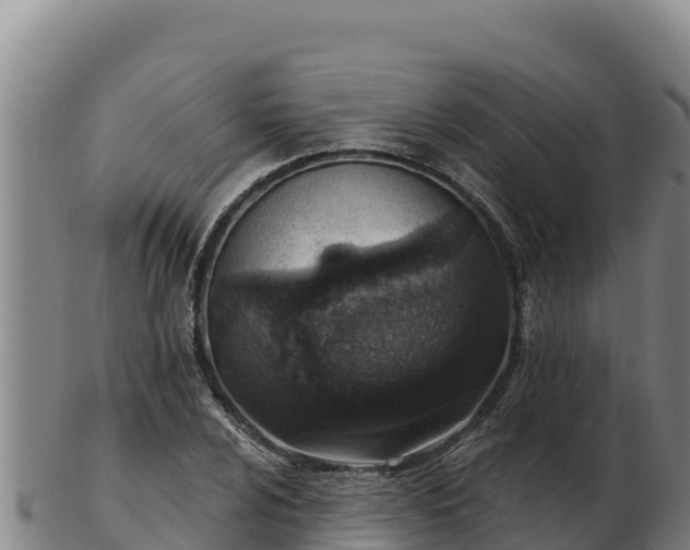 X0000103241024200809041042