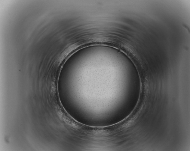 X0000103241025200809041042