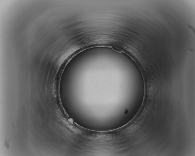 X0000103241026200809041042