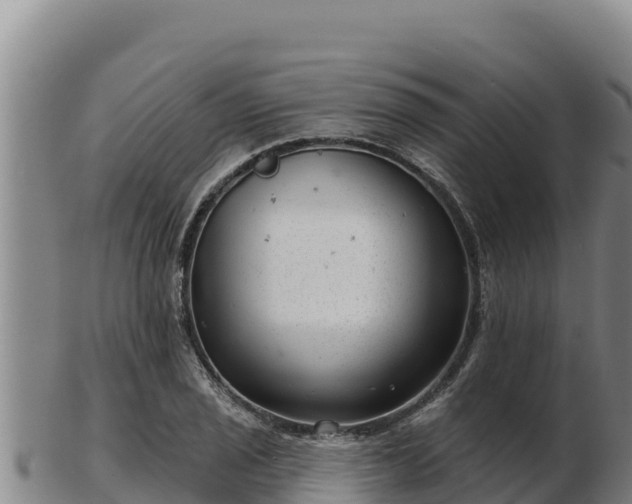 X0000103241029200809041042