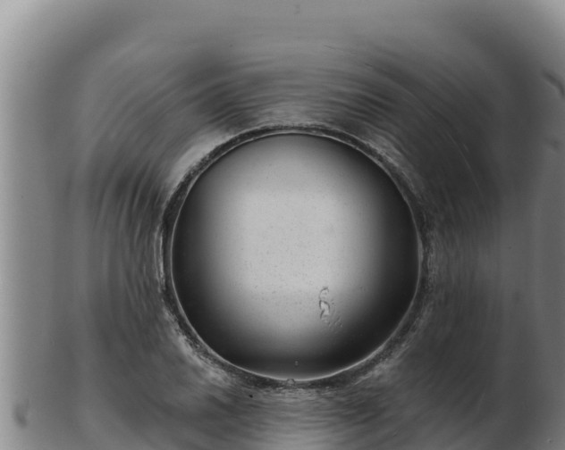 X0000103241030200809041042