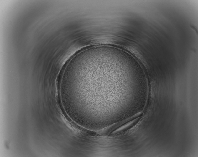 X0000103241031200809041042