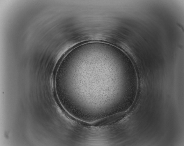 X0000103241032200809041042