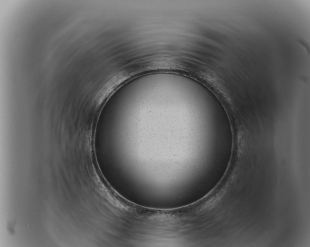 X0000103241033200809041042