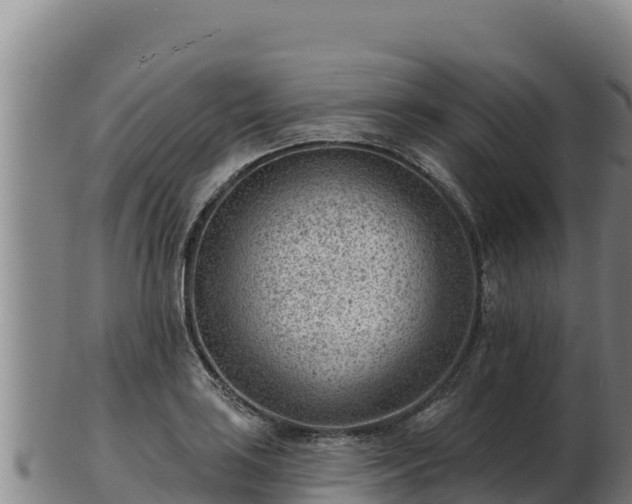 X0000103241035200809041042