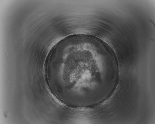 X0000103241037200809041042