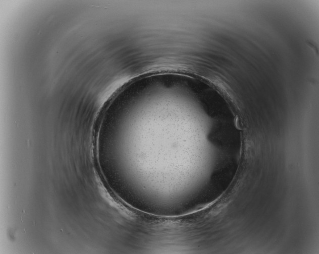 X0000103241038200809041042