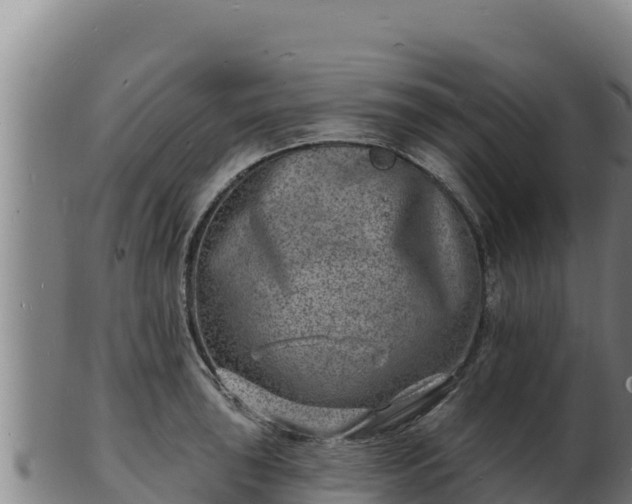 X0000103241043200809041042