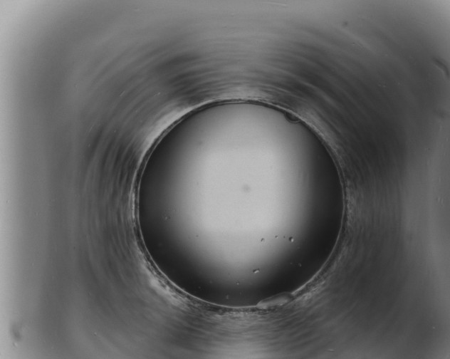 X0000103241044200809041042