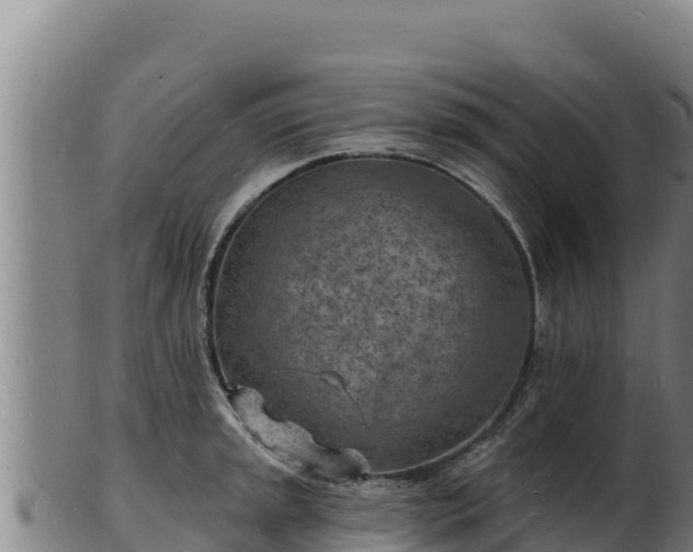 X0000103241045200809041042