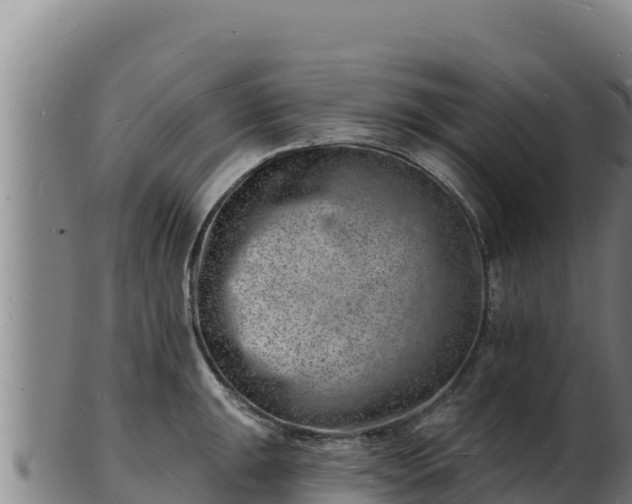 X0000103241047200809041042