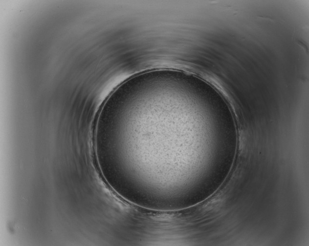 X0000103241048200809041042