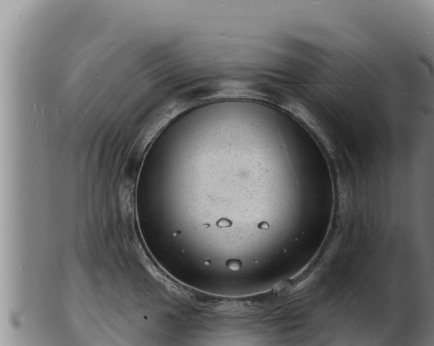 X0000103241049200809041042