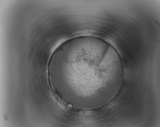 X0000103241051200809041042