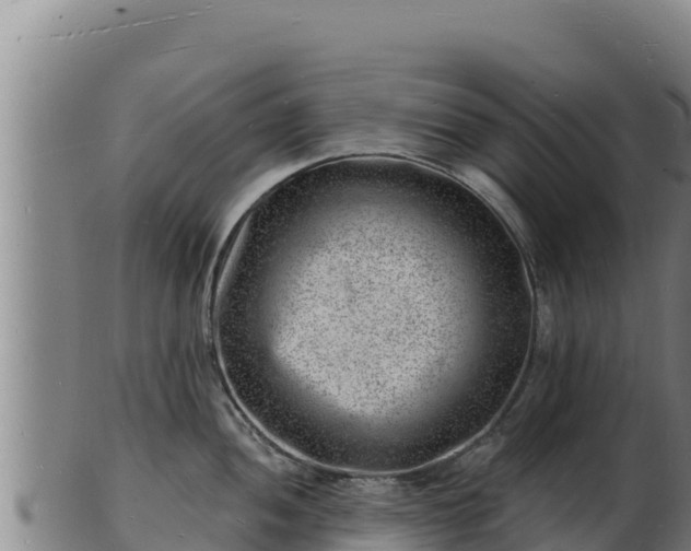 X0000103241052200809041042