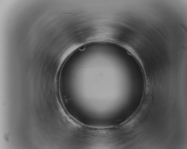 X0000103241053200809041042