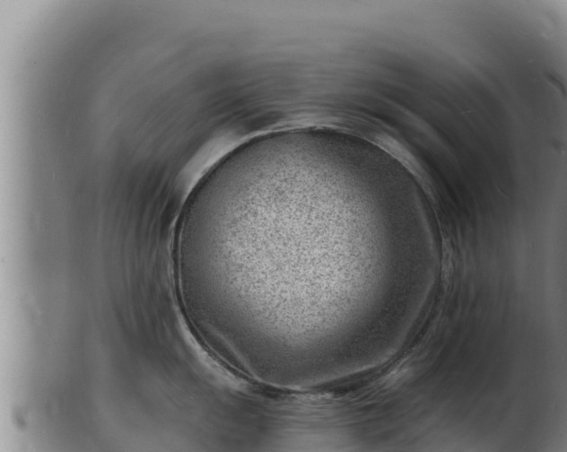 X0000103241055200809041042