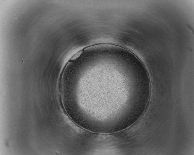 X0000103241056200809041042