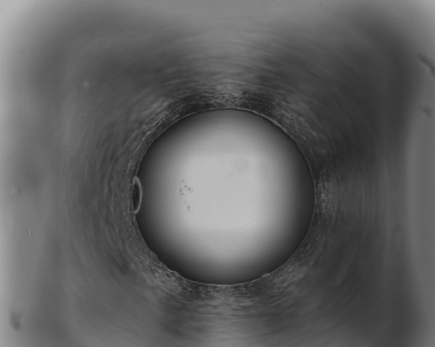 X0000103241057200809041042