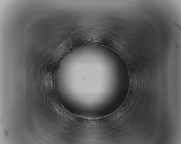 X0000103241058200809041042