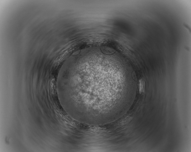 X0000103241059200809041042