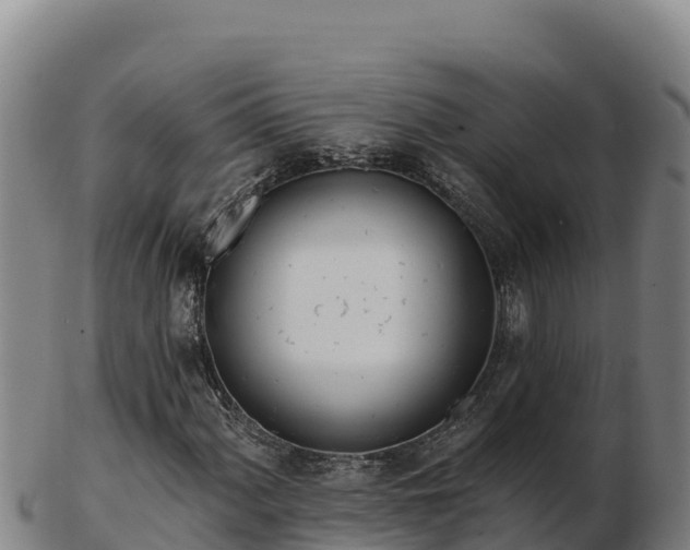 X0000103241060200809041042