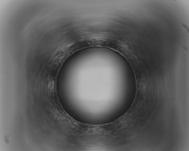 X0000103241061200809041042