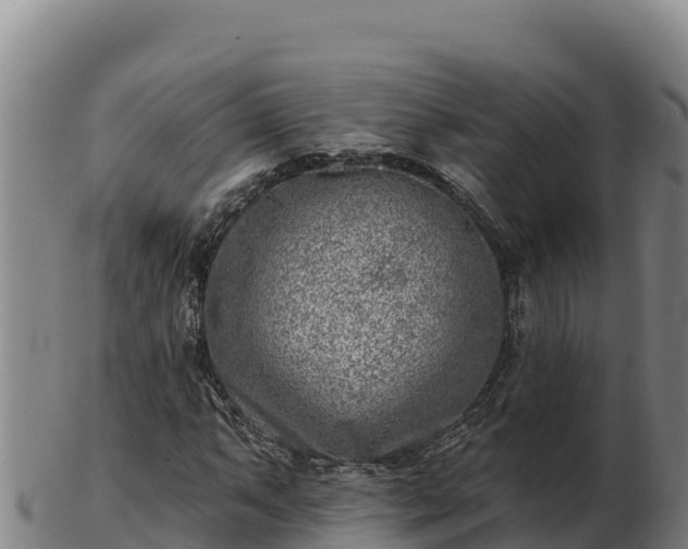 X0000103241063200809041042