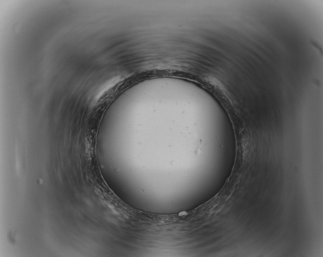 X0000103241064200809041042