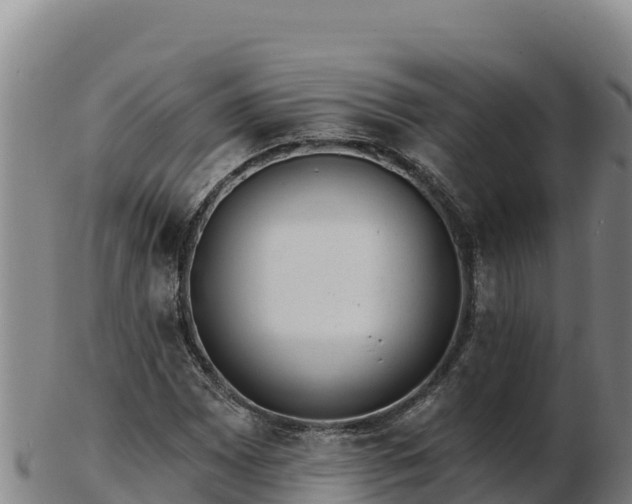 X0000103241065200809041042