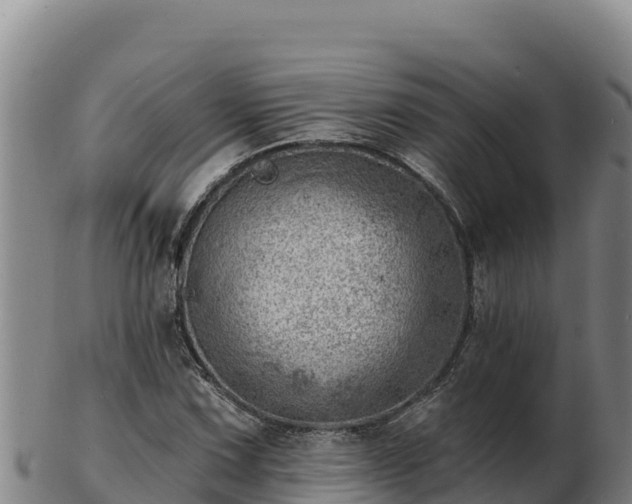 X0000103241067200809041042