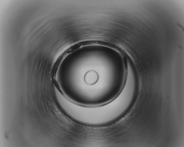 X0000103241069200809041041