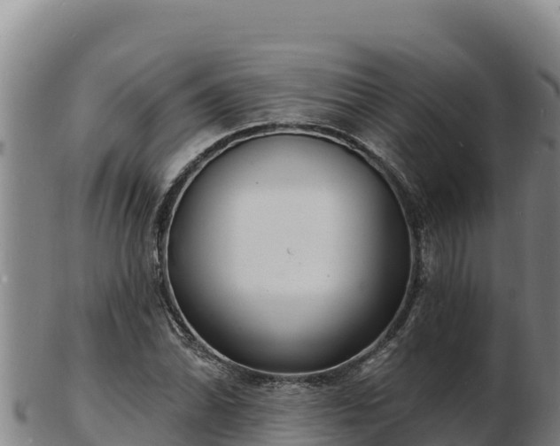 X0000103241070200809041041