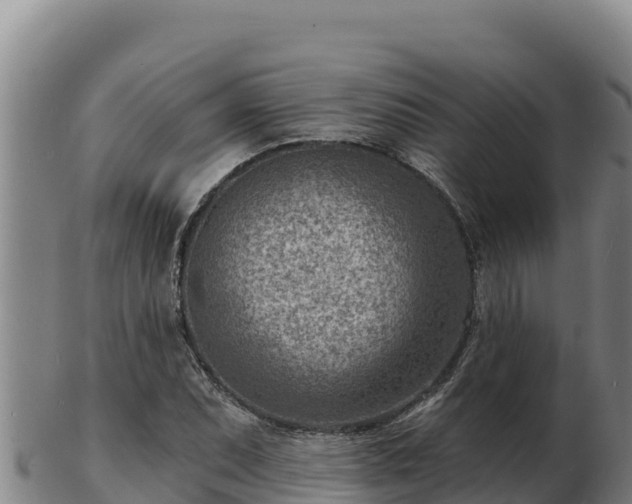 X0000103241071200809041041