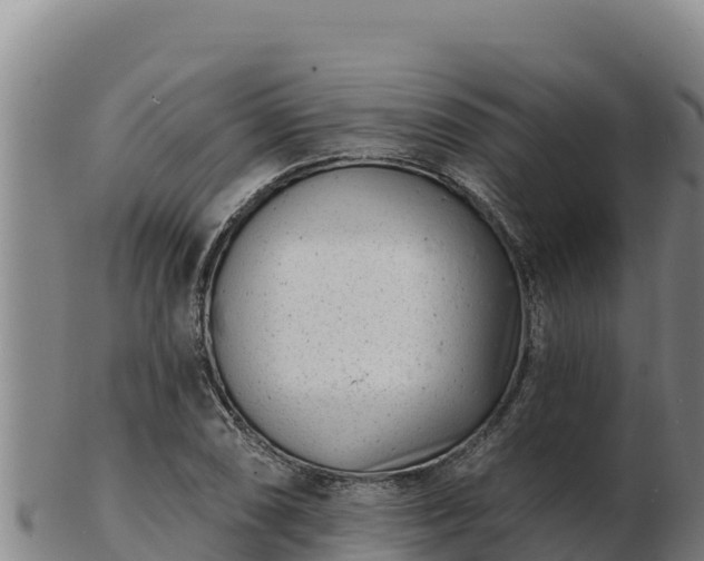 X0000103241074200809041041