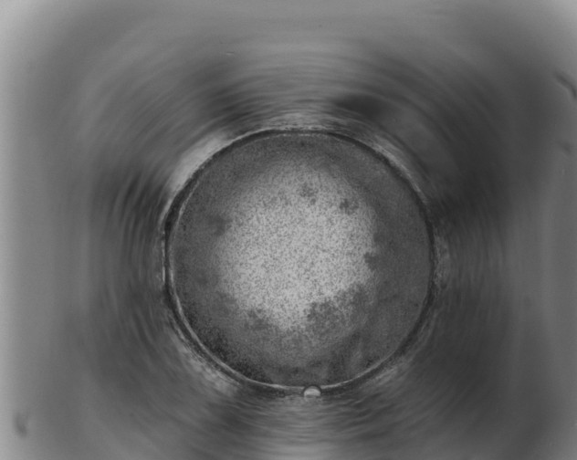 X0000103241075200809041041