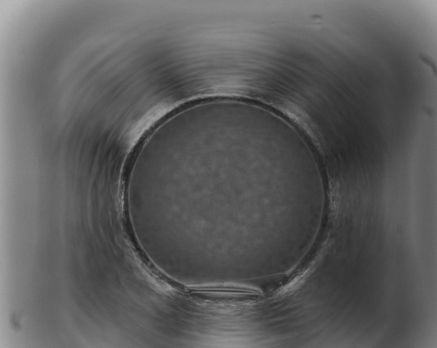 X0000103241077200809041041