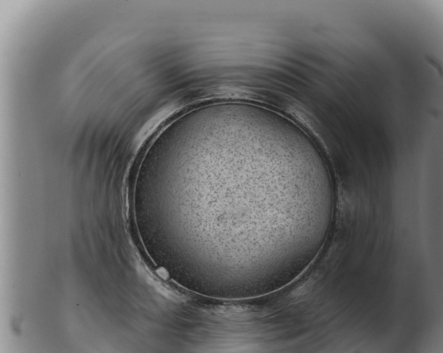 X0000103241082200809041041