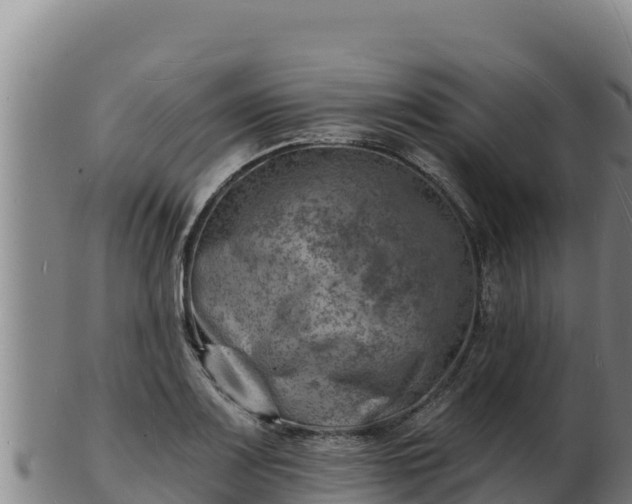 X0000103241083200809041041