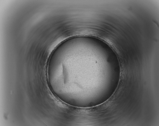 X0000103241086200809041041