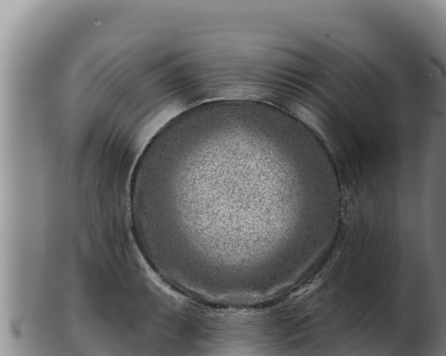 X0000103241087200809041041