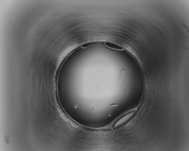 X0000103241088200809041041